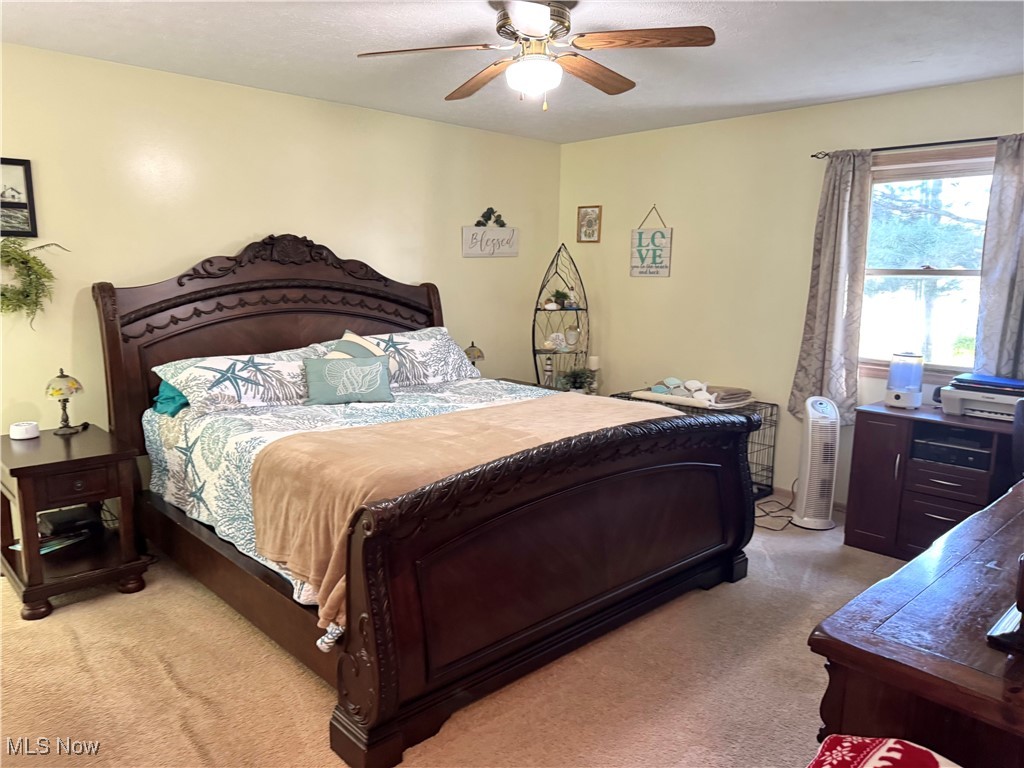 972 Carriage Lane, Wooster, Ohio image 22