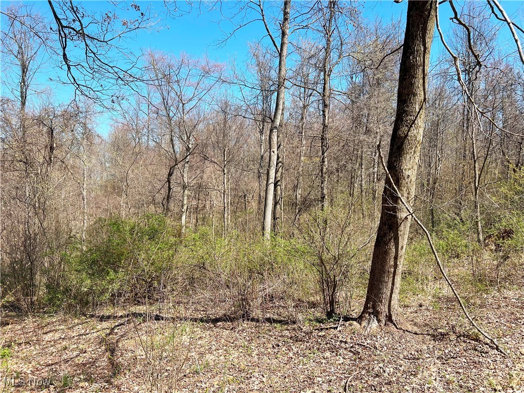 5815 Dog Run Rd, Mineral City, Ohio image 15