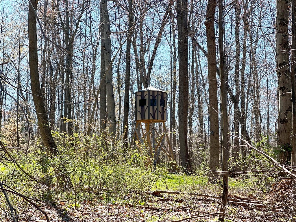 5815 Dog Run Rd, Mineral City, Ohio image 2