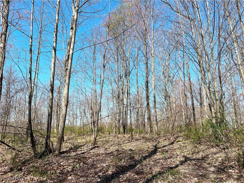 5815 Dog Run Rd, Mineral City, Ohio image 8