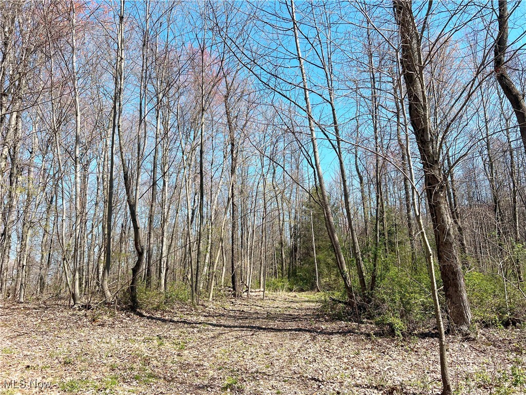 5815 Dog Run Rd, Mineral City, Ohio image 9