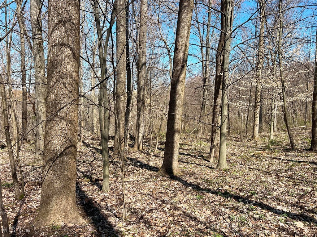 5815 Dog Run Rd, Mineral City, Ohio image 13