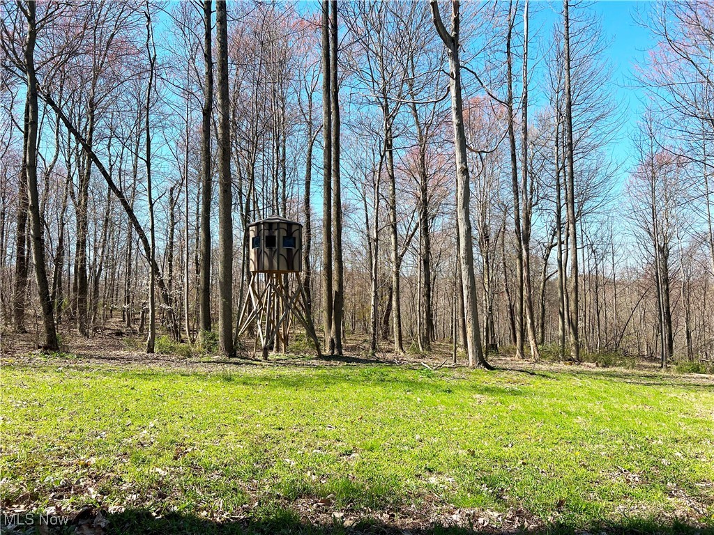 5815 Dog Run Rd, Mineral City, Ohio image 12