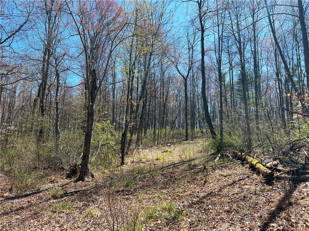 5815 Dog Run Rd, Mineral City, Ohio image 14