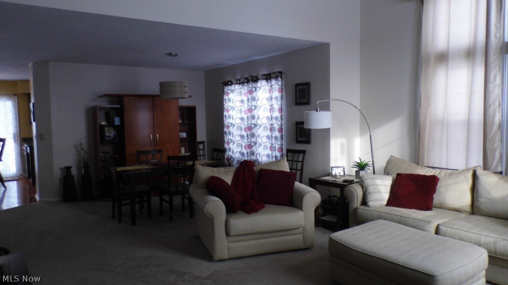 Macintosh Farms Condo - Residential