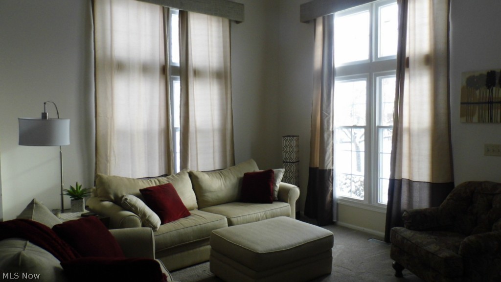 Macintosh Farms Condo - Residential