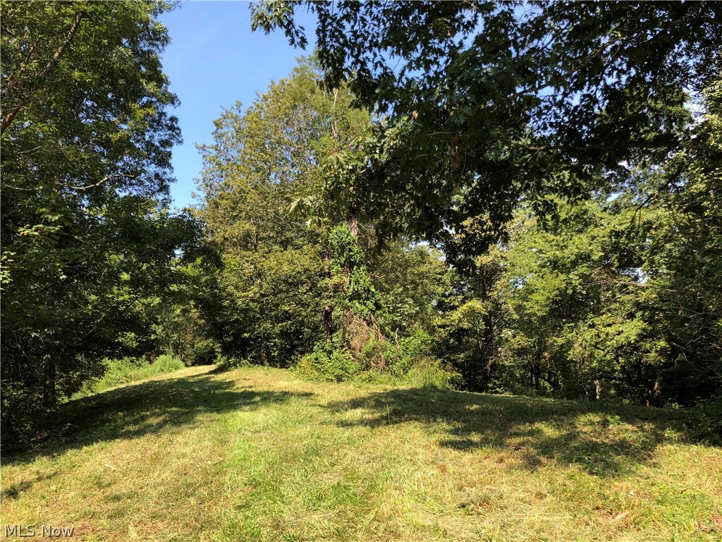 1475 St Rte 124