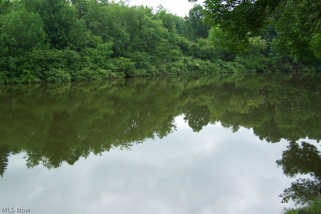 North Pointe Condo - Residential