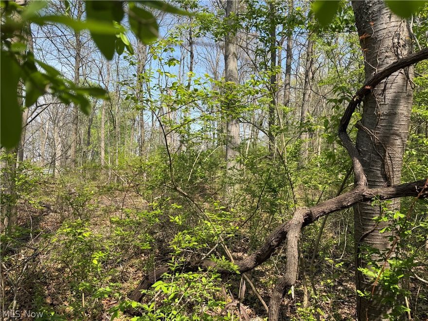 Build your dream home on this beautiful 2.5-acre residential lot in Canton Local School District! Offering a peaceful, wooded setting with gently sloping topography, this property provides the perfect balance of privacy and natural surroundings. With approximately 155 feet of frontage and over 700 feet deep, there’s plenty of space to create the home and setting you’ve been envisioning. Electric is available at the street. No water or sewer currently on site—ideal for a custom build with well and septic. Conveniently located with easy access to local amenities while still enjoying a quiet, country feel. Don’t miss this opportunity to own a spacious parcel in a desirable area!