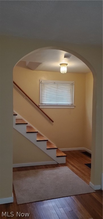 Cleveland Real Estate Cos Euclid - Residential