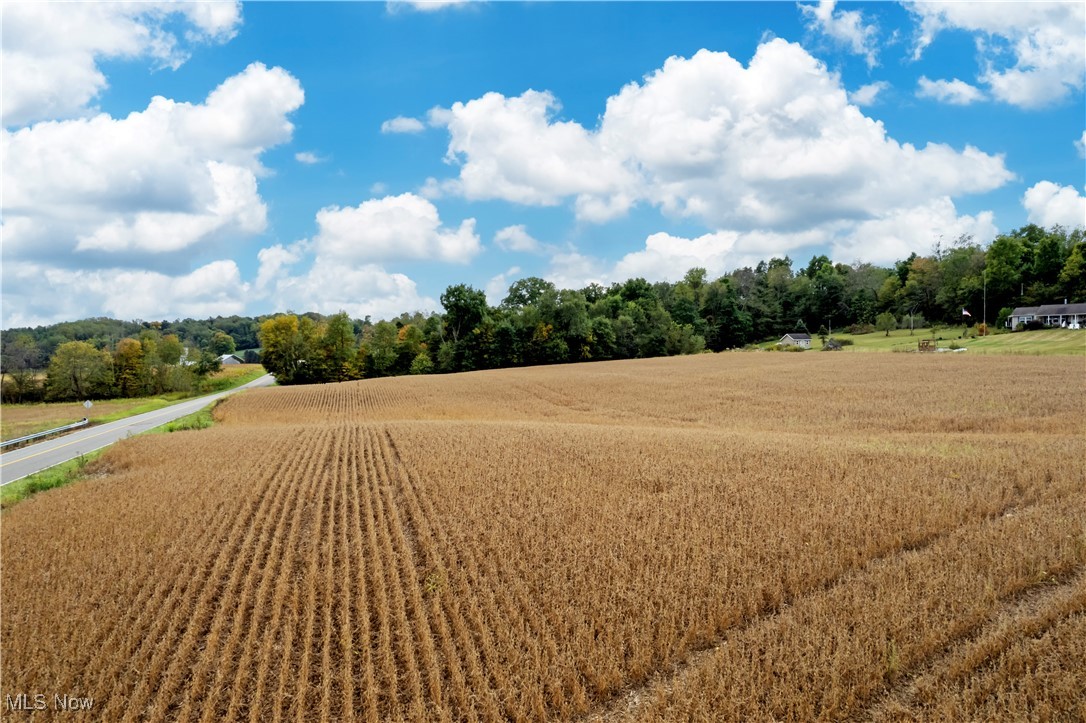 County Road 775, Loudonville, Ohio image 8