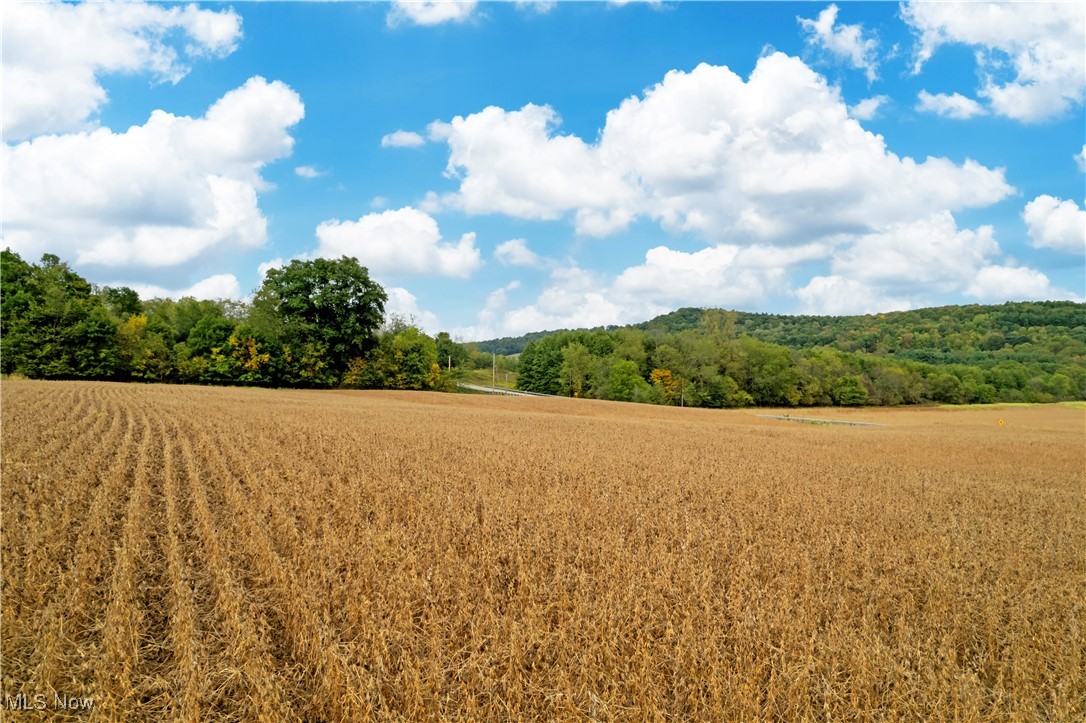 County Road 775, Loudonville, Ohio image 3