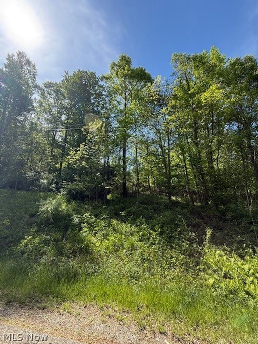 Last Scott addition lot available. Wooded city building lot with city utilities available. Private setting, some restrictions, no mobiles homes or double-wide. Must be a stick built home.