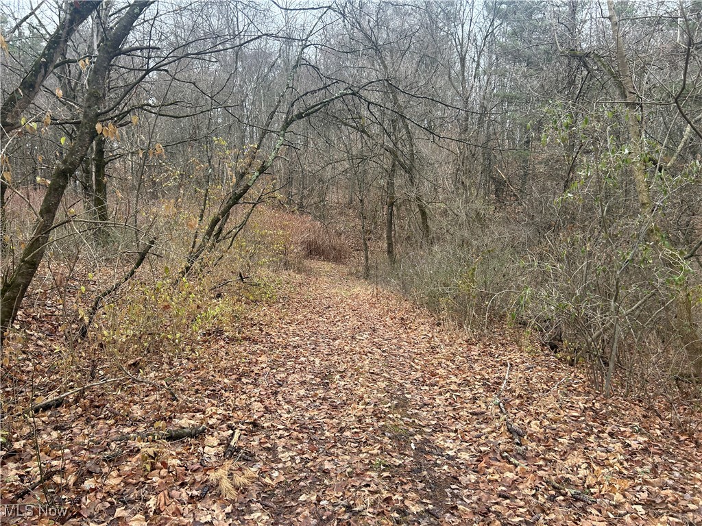 Stoney Point Road, New Concord, Ohio image 7