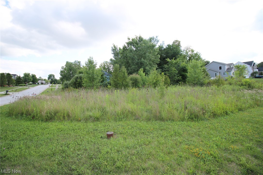 Stoneridge Reserve - Land