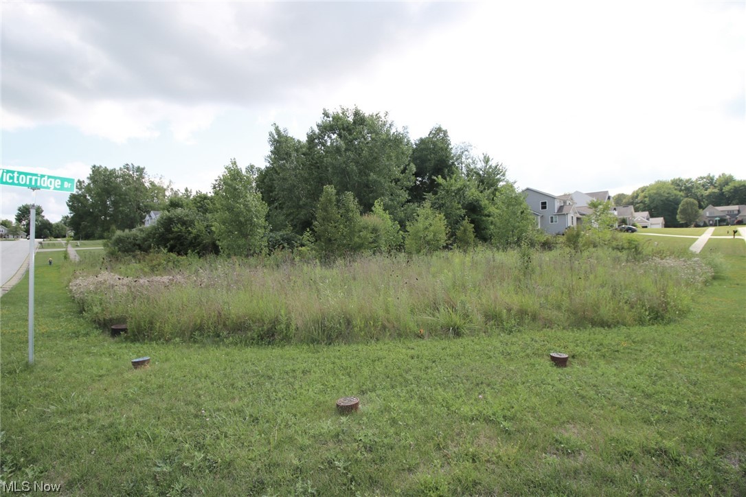 Residential lot available in a very nice neighborhood of beautiful custom homes. Half acre lot can accommodate many building styles. Priced to sell.