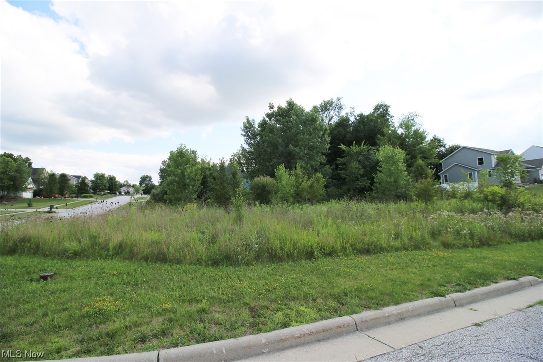 Stoneridge Reserve - Land