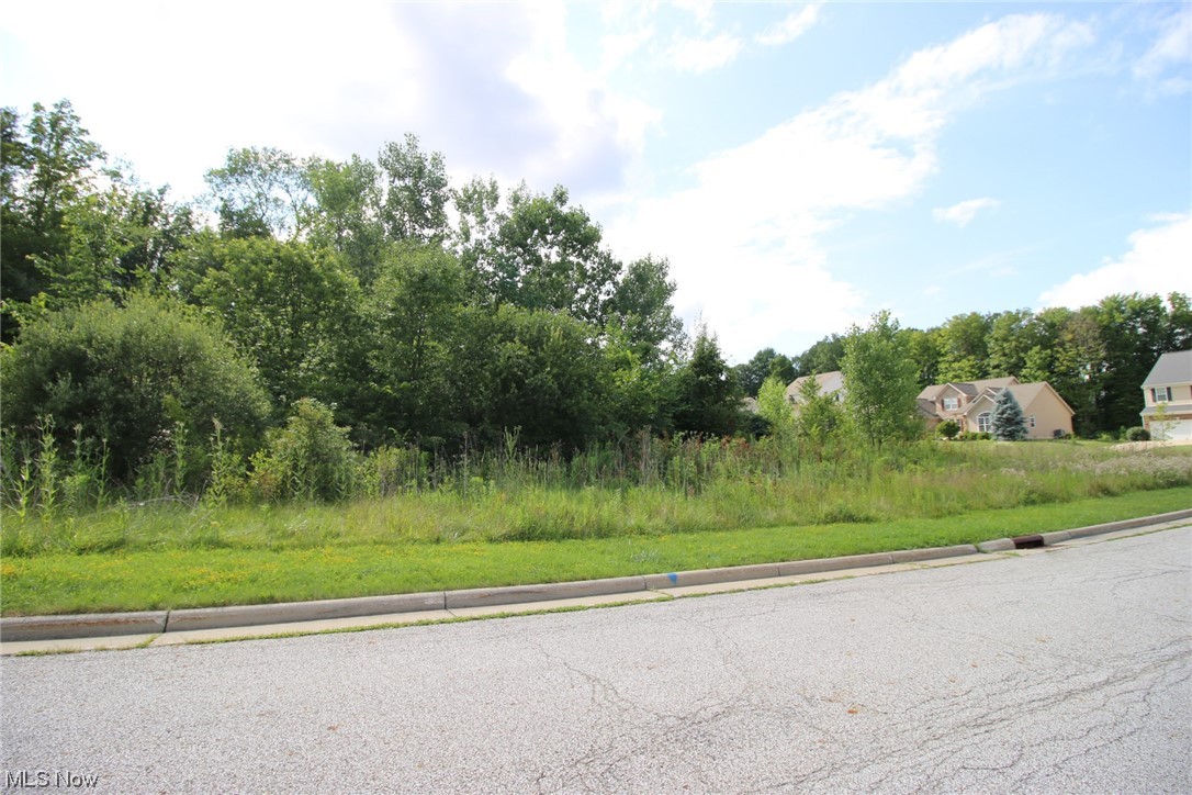 Stoneridge Reserve - Land