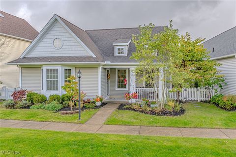 1193 Grove Lane, Medina, OH 44256 - #: 5076627