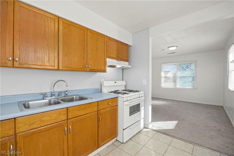 Tiny photo for 171 S Logan Street, Elyria, OH 44035 (MLS # 5191059)