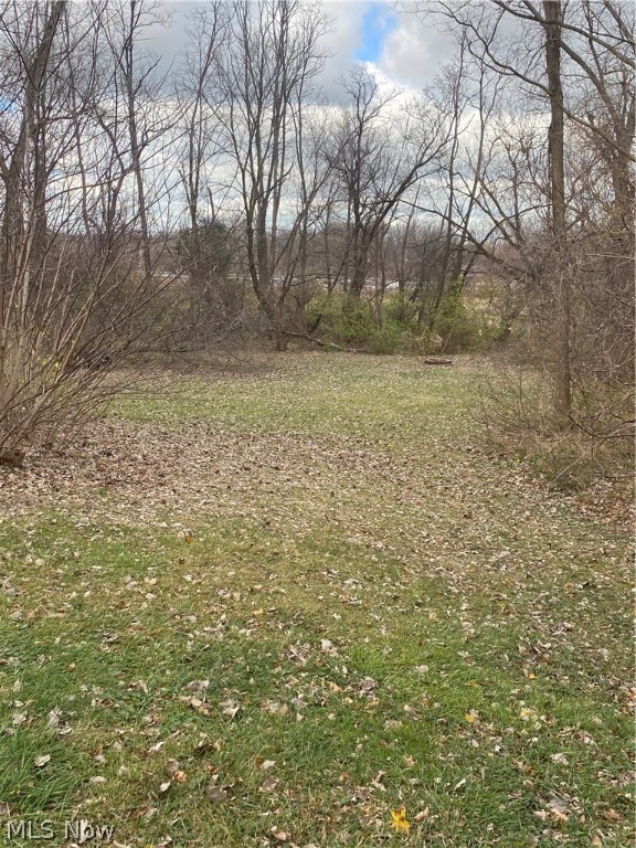 Township/Painesville01 - Commercial Sale