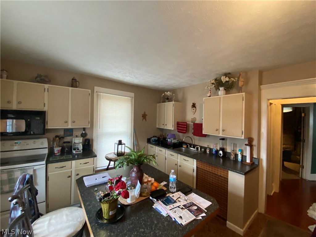 Township/Painesville01 - Commercial Sale