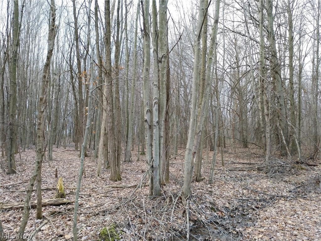 Phillip J Mcmasters - Land