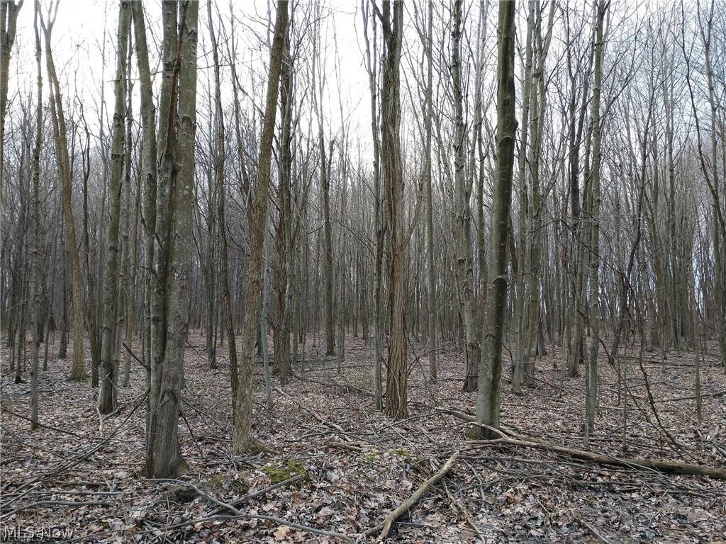 Phillip J Mcmasters - Land