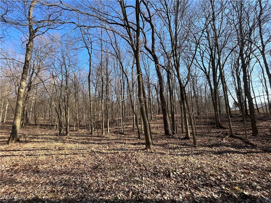 Nestled in the heart of nature, this breathtaking 20-acre wooded retreat offers the perfect blend of seclusion and possibility. A mix of mature trees provides shade and privacy, creating a peaceful setting filled with wildlife, natural trails, and endless opportunities for exploration. Whether you're considering a secluded retreat, or a recreational escape, this property offers endless possibilities surrounded by stunning natural beauty. Perfectly secluded yet easily accessible, this is your opportunity to own a private woodland retreat—schedule your tour today!