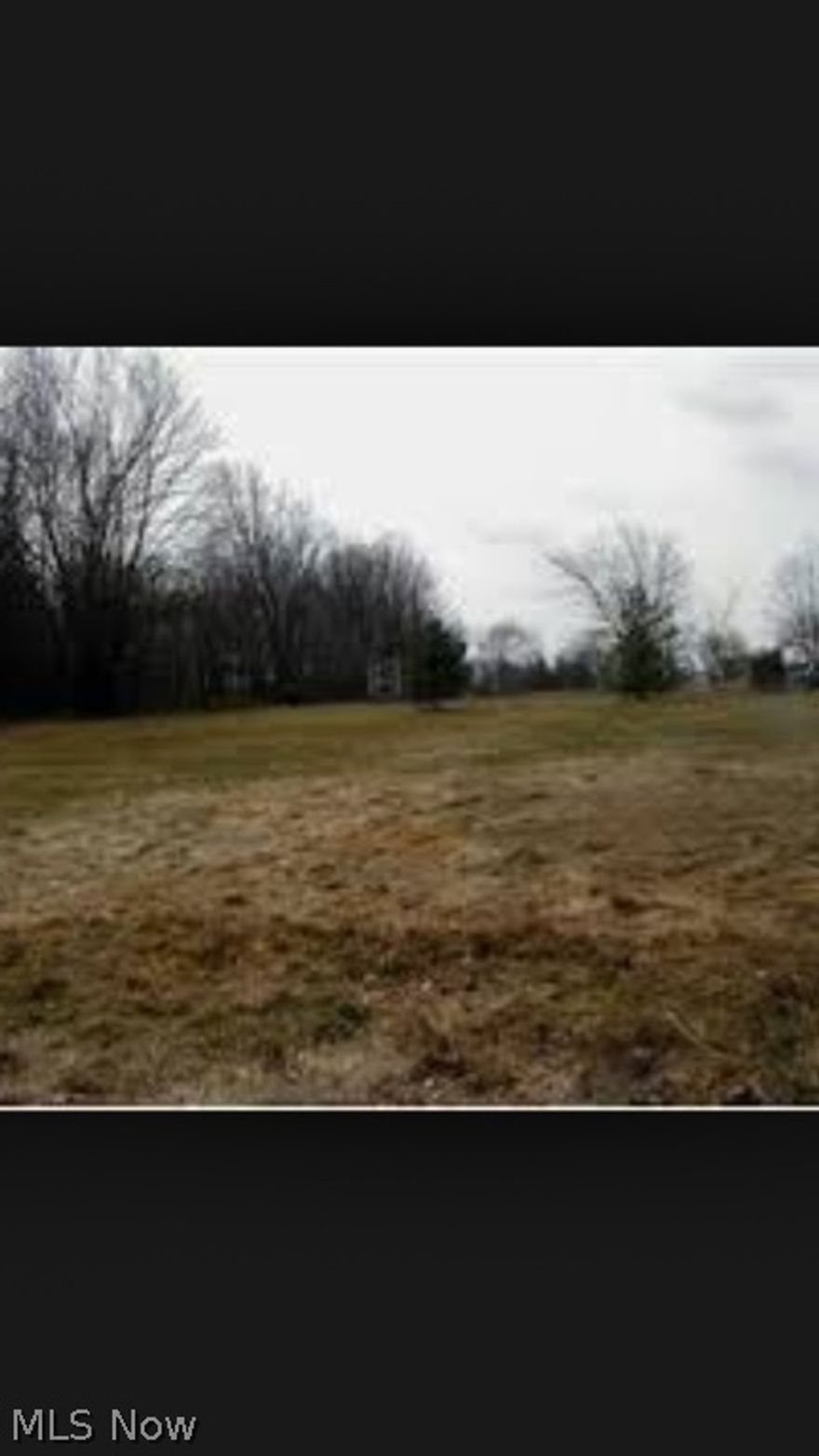 Great Canfield area, great lot. Home needs attention.