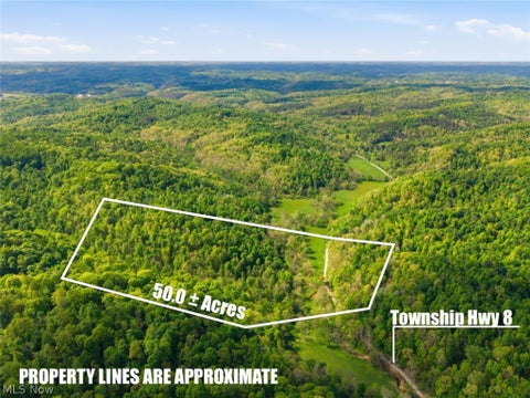 Vacant Land For Sale - Pratts Run Road<br/> Monroe County, Clarington, OH 43793