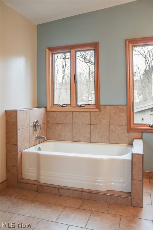 West Twin Lakes Allotment - Residential Lease