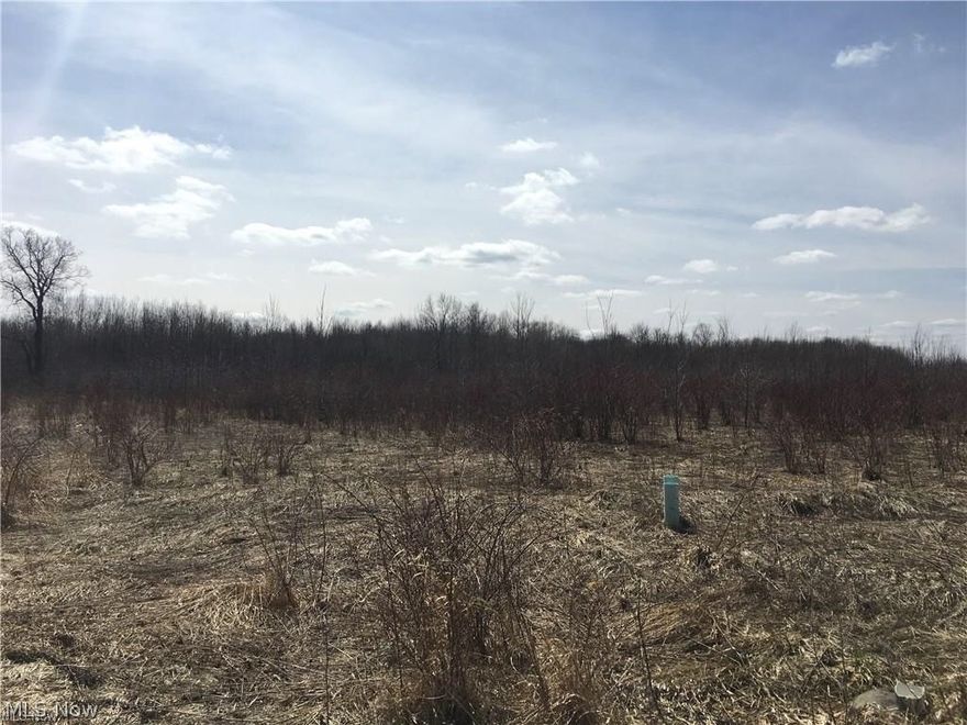 Take a look at this 6.16 acre Vacant Land available in Monroe Twp. No zoning, so possibilities are endless! The property is flat and ready to build on, if desired. A great retreat from the city to enjoy country living. Park a camper, bring your boat and enjoy being close to Lake Erie, but far enough away to enjoy peace & quiet. Seller is motivated & will consider all offers. Additional Land Available, just ask! Start your Summer off right & check out all this property has to offer!