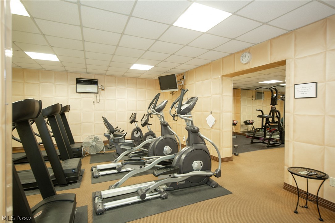 Meridian Condo - Residential