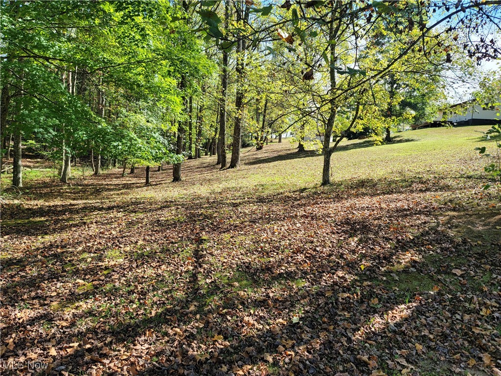 Lake Lane, Vincent, Ohio image 6