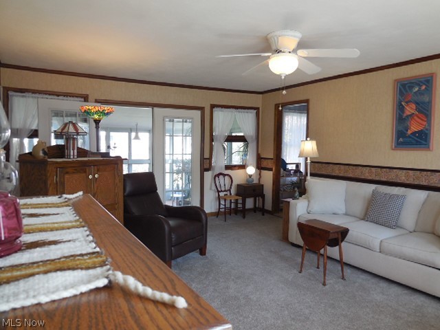 Firestone Park - Residential