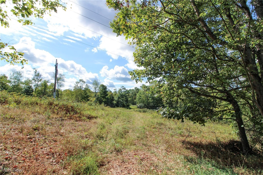 Tract 6 Happy Hollow Road, Waverly, West Virginia image 14