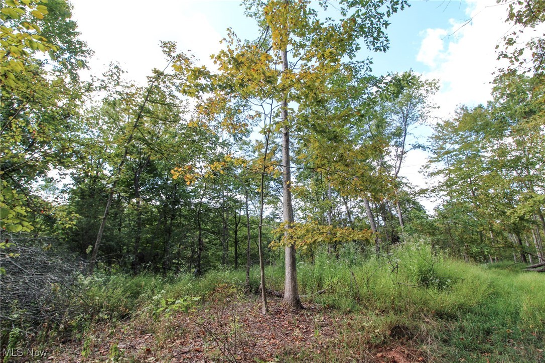 Tract 6 Happy Hollow Road, Waverly, West Virginia image 7