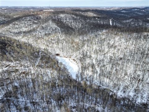 Vacant Land For Sale - Tract 8 Barber Ridge Road<br/> Lewisville, OH 43754