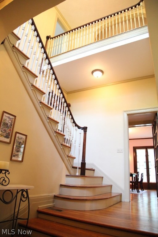 Mcintire Terrace District - Residential