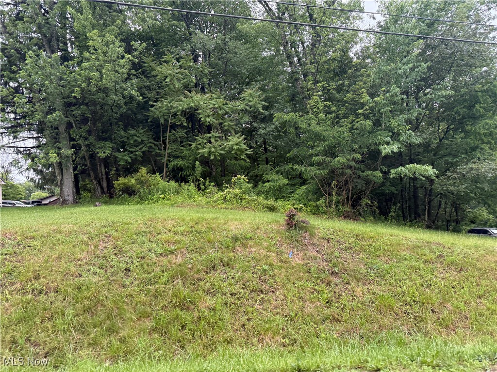 Hillcrest Road, Wellsville, Ohio image 1