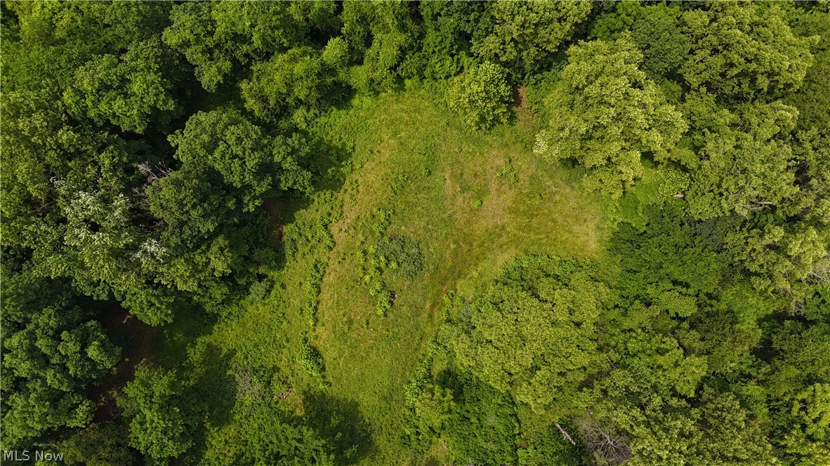 10 Bella Vista Drive
