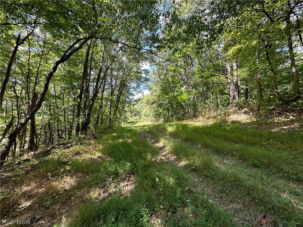 Photo of 8292 State Route 60, Lowell, OH 45744 (MLS # 5187068)