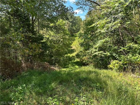 Homes For Sale - 8292 State Route 60<br/> Lowell, OH 45744