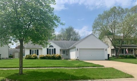 169 Findlay Court, Elyria, OH 44035 - #: 5034420