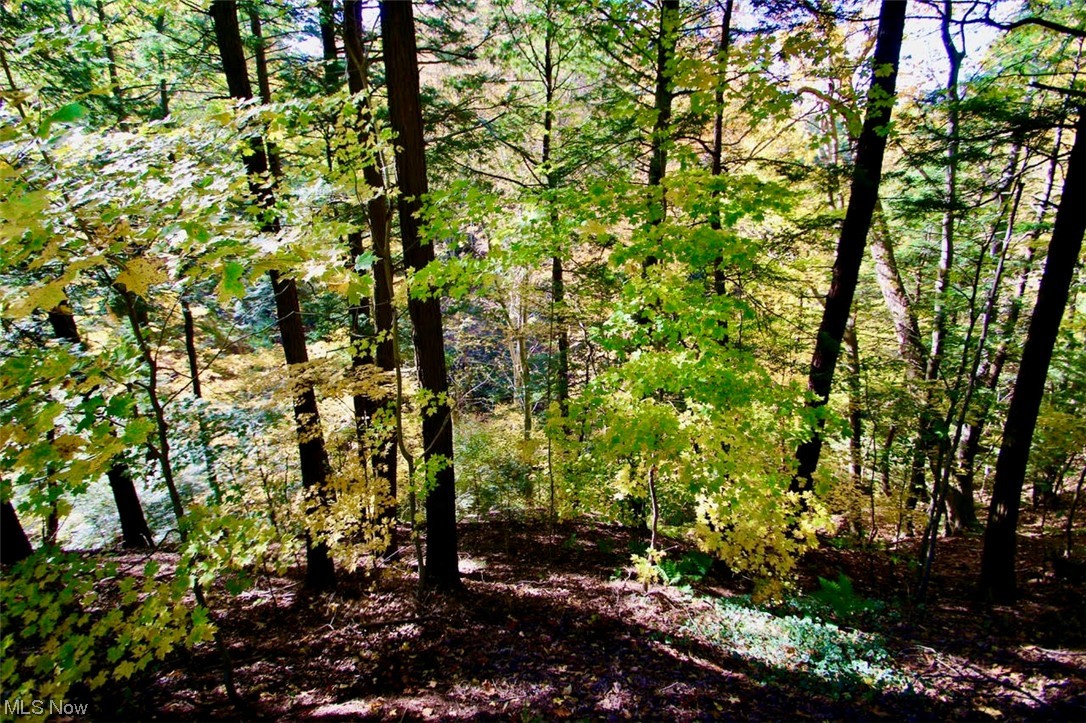 Township/Leroy - Residential