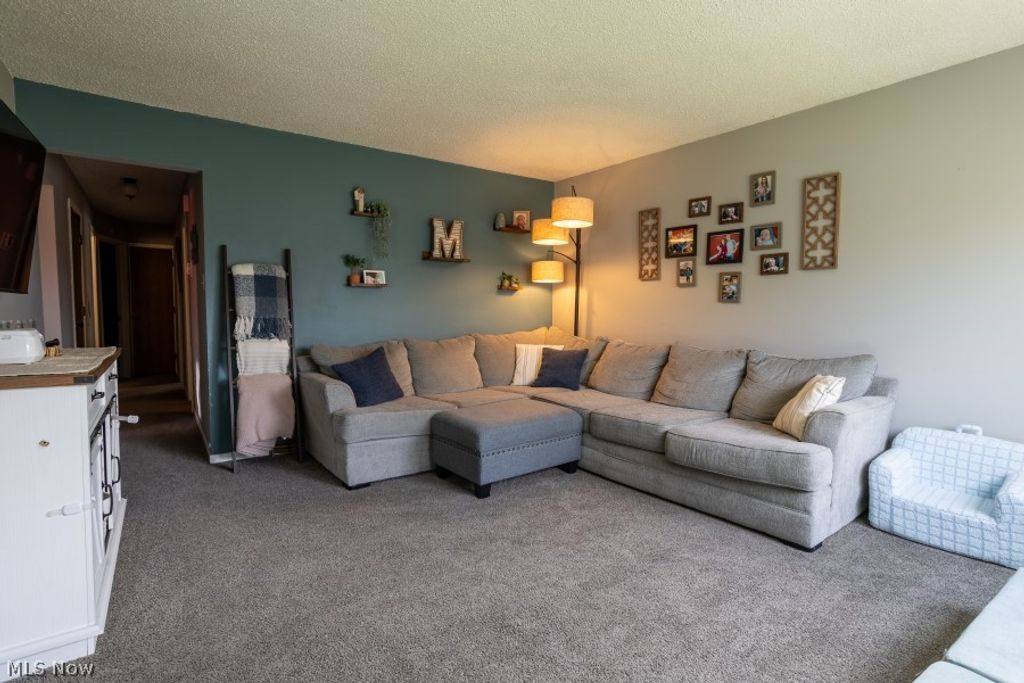 Photo of 957 Carnegie Avenue, Akron, OH 44314 (MLS # 5198778)