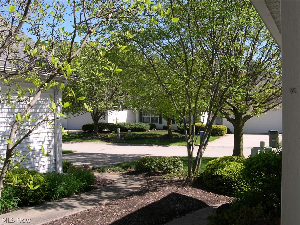 Wildflower - Residential