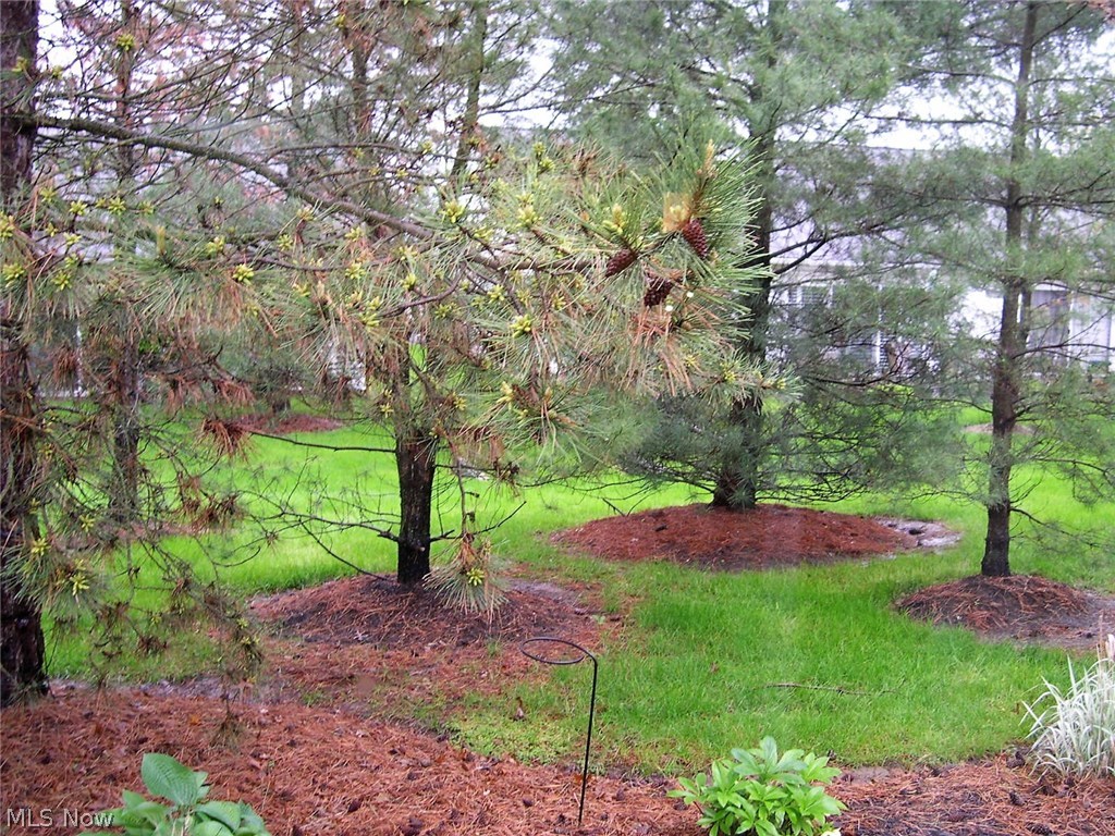 Wildflower - Residential