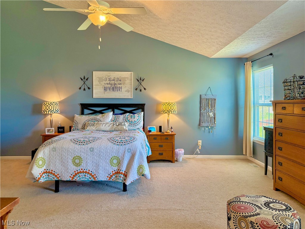 6133 Tyndale Lane, Medina, Ohio image 23